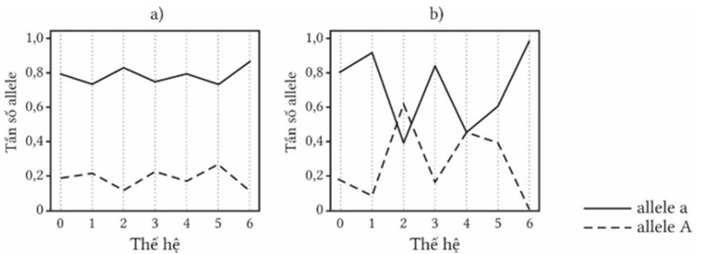 Đồ thị mô tả sự thay đổi tần số alelle do tác động của phiêu bạt di truyền (đường xuất phát nằm trên là chỉ tần số alelle A (ảnh 1)