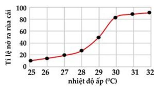 Sơ đồ bên đây mô tả sự ấp trứng của rùa biển và tỉ lệ con cái được sinh ra theo nhiệt độ ủ (oC). Theo sơ đồ này, ở khoảng nhiệt độ nào thu được 80 rùa đực và 20 rùa cái sau thời gian ấp trứng? (ảnh 1)