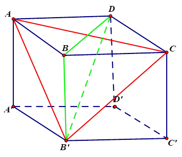 Cho hình lăng trụ đứng ABCD.A'B'C'D' có đáy ABCD là hình vuông. Khẳng định nào sau đây đúng ? (ảnh 1)