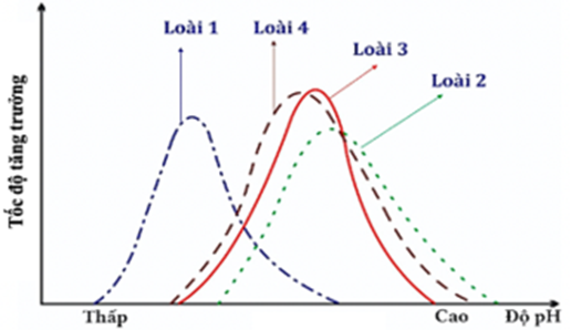 Một người nông dân muốn nuôi ghép các loài cá vào cùng một ao nuôi nhằm tận dụng được diện tích và nguồn thức ăn tự nhiên trong ao (ảnh 1)