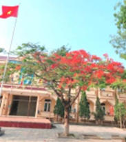 Cây bạch đàn mỗi năm cao thêm 1m, cây phượng mỗi năm cao thêm 50cm. Lúc mới vào trường học (ảnh 1)