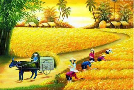 M&ugrave;a trong sương sớm