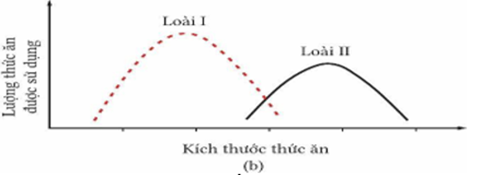 Cho hình minh họa về ổ sinh thái hai loài (I, II). Có bao nhiêu nhận định sau đây đúng? (ảnh 1)