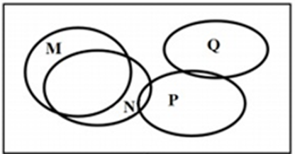 Ổ sinh thái dinh dưỡng của bốn quần thể M, N, P, Q thuộc bốn loài thú sống trong cùng một môi trường và thuộc cùng một bậc dinh dưỡng được kí hiệu (ảnh 1)