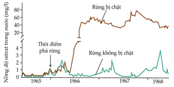 Một công trình nghiên cứu đã khảo sát về hàm lượng khoáng trong nước suối của hai vùng bị chặt rừng và không bị chặt rừng trong cùng một khu vực từ năm 1965 đến 1968 (ảnh 1)