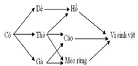 Cho sơ đồ lưới thức ăn, có bao nhiêu loài là sinh vật tiêu thụ bậc 1. (ảnh 1)