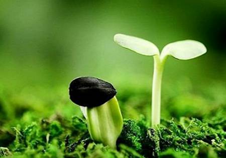 Gia Đ&igrave;nh Việt Nam, Mảnh Đất Ph&igrave; Nhi&ecirc;u Cho Hạt Giống Tin Mừng | Gi&aacute;o Phận B&agrave;  Rịa