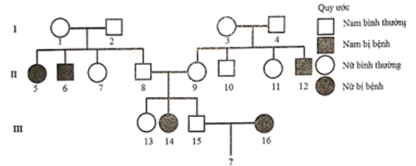 Cho sơ đồ phả hệ mô tả sự di truyền của một bệnh ở người do một trong hai allele của một gene quy định.  (ảnh 1)