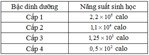 Cho các thông tin ở bảng dưới đây:    Hiệu suất sinh thái giữa bậc dinh dưỡng cấp 4 so với bậc dinh dưỡng cấp 3 lần lượt là bao nhiêu % (ảnh 1)