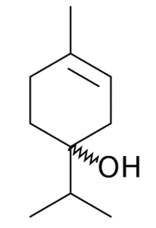 Terpinen-4-ol là thành phần chính của tinh dầu tràm trà. (ảnh 1)
