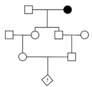 Xét một gia đình chuột xạ hương mà ở đó con cái ở thế hệ thứ nhất mang một allele gây chết ở trạng thái dị hợp tử nhưng không biểu hiện kiểu hình (được đánh dấu bằng bôi đen trong phả hệ) (ảnh 1)