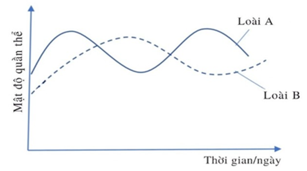 Biểu đồ dưới đây mô tả mối quan hệ giữa sinh vật ăn thịt và con mồi. Mỗi nhận định sau đây là đúng hay sai? (ảnh 1)