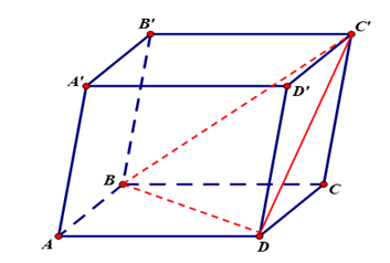Cho hình hộp ABCD.A'B'C'D'. Mặt phẳng BC'D song song với mặt phẳng nào trong các mặt phẳng sau đây (ảnh 2)
