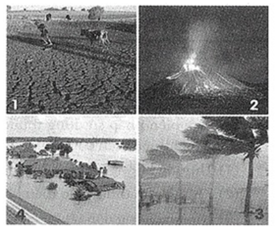 Hiện tượng tự nhiên trong hình nào dưới đây sẽ tạo môi trường cho diễn thế nguyên sinh diễn ra? (ảnh 1)