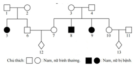 Thừa sắt (Hemochromatosis) là một bệnh di truyền do gene lặn nằm nhiễm sắc thể thường quy định. Trong một quần thể người bình thường, tần số người có kiểu gene dị hợp tử là 1/11 (ảnh 1)