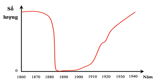 Sau thảm họa núi lửa năm 1884, toàn bộ quần xã rừng mưa nhiệt đới trên đạo Karakatau (Indonesia) bị hủy diệt hoàn toàn. Hơn 50 năm sau (ảnh 1)