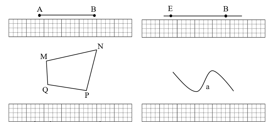 Điền tên gọi thích hợp với mỗi hình: (ảnh 1)