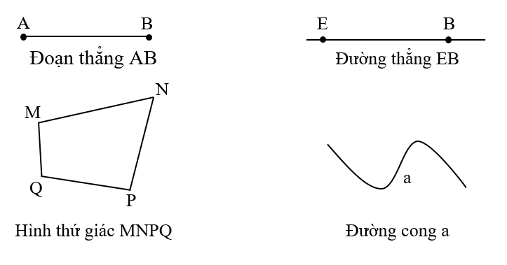 Điền tên gọi thích hợp với mỗi hình: (ảnh 2)