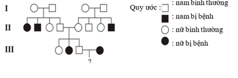 Sơ đồ phả hệ tr&ecirc;n m&ocirc; tả sự di truyền của một bệnh ở người do một trong hai allele của một gene quy định (ảnh 1)