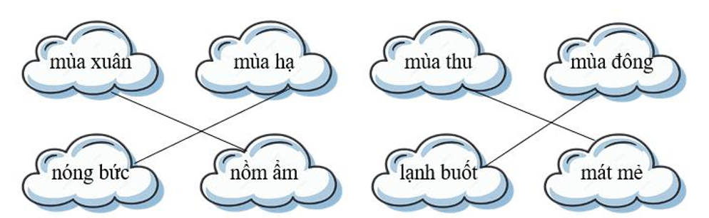 c) Nối đúng: (ảnh 2)
