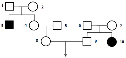 Tay-sachs là một bệnh di truyền đơn gene ở người do allele lặn gây nên; người có kiểu gene đồng hợp tử và allele lặn gây bệnh thường chết trước tuổi trưởng thành (ảnh 1)
