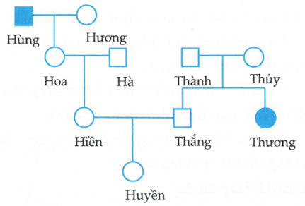 Ở một quần thể người, bệnh M do một trong hai allele của một gene quy định. Một cặp vợ chồng: Hùng bị bệnh M còn Hương không bị bệnh M (ảnh 1)