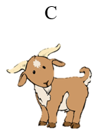 Nhân vật nào không xuất hiện trong truyện Mong ước của ngựa con? (ảnh 3)