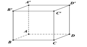 Cho hình hộp chữ nhật ABCD.A'B'C'D' (hình bên) (ảnh 1)