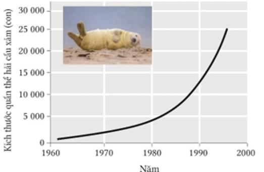 Hình mô tả tóm tắt kiểu tăng trưởng kích thước quần thể: (ảnh 1)