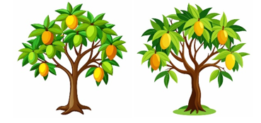 c) Cây xoài bên phải có mấy quả? 	A. 5	 	B. 8	 	 	C. 9	 	D. 10 (ảnh 1)