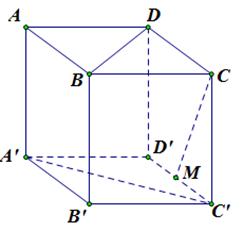Cho hình lập phương ABCD.A'B'C'D' có cạnh bằng a. Gọi M là trung điểm cạnh C'D' (tham khảo hình vẽ). Khoảng cách giữa hai đường thẳng AA' và CM bằng (ảnh 1)