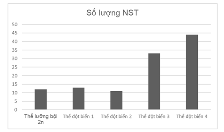 Từ 1 loài sinh vật có bộ NST lưỡng bội 2n, người ta tạo ra các thể đột biến khác nhau với bộ NST khác so với loài ban đầu được mô tả bằng hình bên dưới, hãy cho biết đột biến thể một nhiễm là thể đột biến số mấy? (ảnh 1)