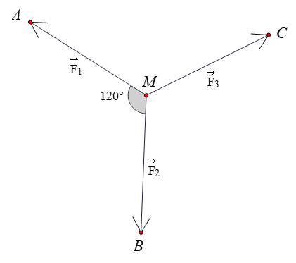 Cho hình chữ nhật ABCD có AB = 2 . Gọi E là trung điểm cạnh AD. (ảnh 1)