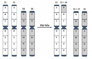 A diagram of a dna sequence

AI-generated content may be incorrect.