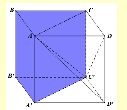 Có thể chia hình lập phương thành bao nhiêu tứ diện bằng nhau mà các đỉnh của tứ diện cũng là đỉnh của hình lập phương? (ảnh 1)