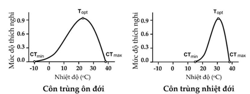 Biểu đồ sau mô tả về giới hạn sinh thái của 2 loài côn trùng có họ hàng gần nhau nhưng có khu vực phân bố khác nhau (ảnh 1)