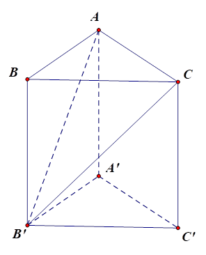 Cho hình lăng trụ đứng ABC.A'B'C' có AA' = 2a,tam giác ABC vuông cân và AB = BC = a. Khoảng cách từ điểm C' đến mặt phẳng (AB'C) bằng (ảnh 1)