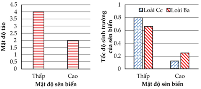 Hai loài sên Ba (Elysia chlorotica) và Cc (Costasiella kuroshimae) đều sử dụng tảo làm thức ăn và đều sống trong cùng một hệ sinh thái biển (ảnh 1)