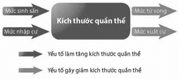 Hình mô tả tóm tắt các yếu tố ảnh hưởng kích thước quần thể:   Có bao nhiêu phát biểu sau đây đúng (ảnh 1)
