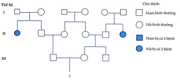 Ở người x&eacute;t 2 bệnh di truyền đều do gene lặn nằm tr&ecirc;n 2 cặp NST thường kh&aacute;c nhau quy định l&agrave; bệnh Tay-sach v&agrave; bệnh bạch tạng. Cho phả hệ về 2 bệnh tr&ecirc;n như sau: (ảnh 1)