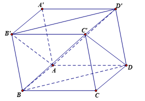 Cho hình hộp ABCD.A'BC'D'. Mặt phẳng AB'D'song song với mặt phẳng nào sau đây (ảnh 1)