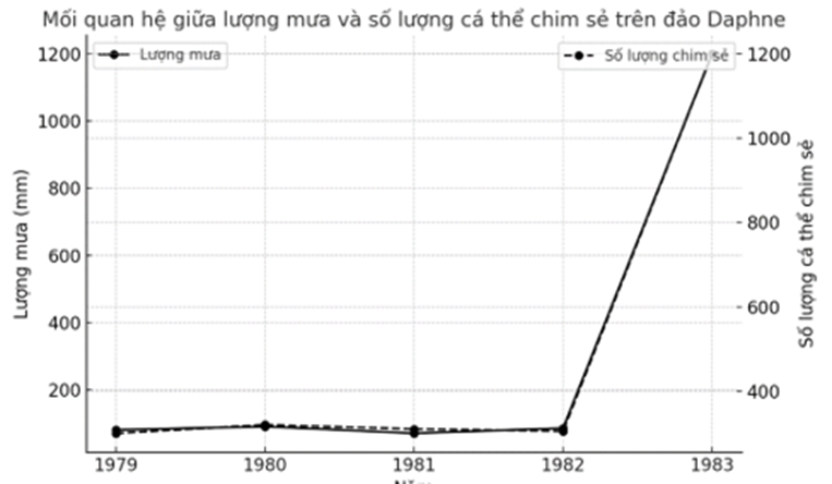 Hình bên môn tả mối quan hệ giữa lượng mưa và số lượng cá thể chim sẽ trên đảo Daphne (ảnh 1)