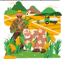 Cả hai vụ mùa, gia đình nhà chú Tư thu hoạch được 6 tấn 2 tạ thóc. Vụ mùa trước gia đình chú thu hoạch được (ảnh 1)