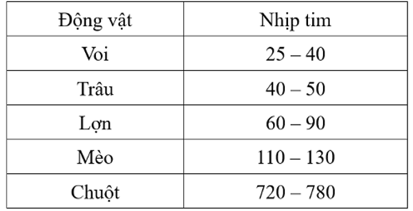 Bảng dưới đây cho thấy nhịp tim của một số loài động vật khác nhau. Khi nói về bảng dưới đây, nhận định nào dưới đây là đúng? (ảnh 1)