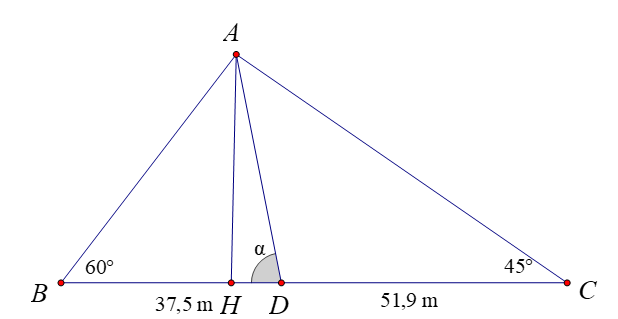 Một ngôi tháp nghiêng về phía Tây một góc α so với phương ngang của mặt đất (ảnh 1)