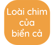 A yellow and black square with white text
AI-generated content may be incorrect.