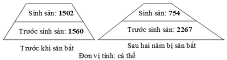 Cấu trúc tuổi của quần thể có tính đặc trưng và phụ thuộc vào môi trường sống. Khi điều tra quần thể chim trĩ (Phasianus colchicus) tại các khu rừng trên đảo (ảnh 1)