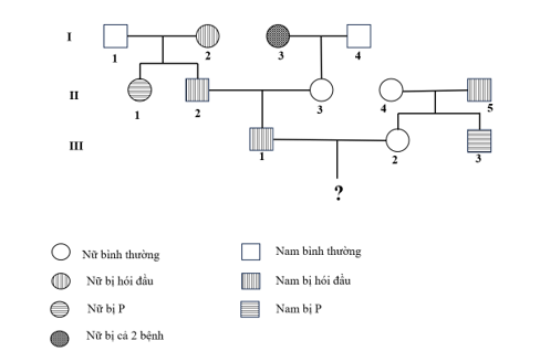 Cho sơ đồ phả hệ sau: (ảnh 1)