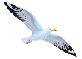 A bird flying in the sky

AI-generated content may be incorrect.