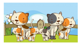 c) Có bao nhiêu con mèo trong bức hình bên? 	 (ảnh 1)